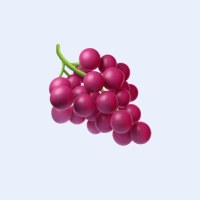 Ilustración de un kit de cata de vinos a ciegas